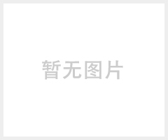 mini奶嘴车充 双USB车充 大功率车充